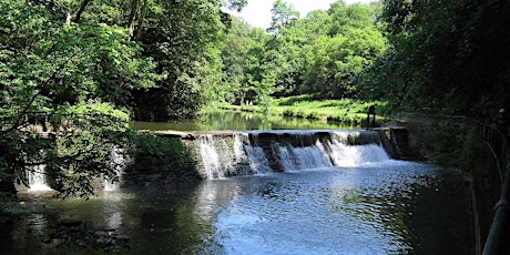 Imagen principal de Snuff Mills River Walk - Guided evening stroll