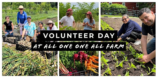 Imagen principal de Volunteer Day at AOOA Farm