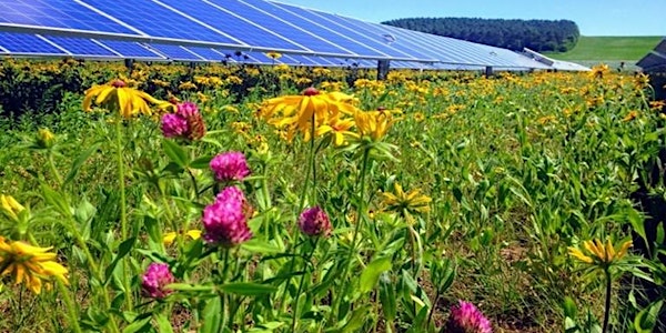 Murray County residents: sign up to give input on solar