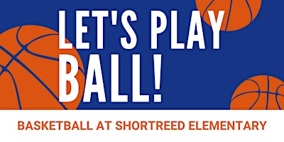 Grade 4-6 Girls Basketball primary image