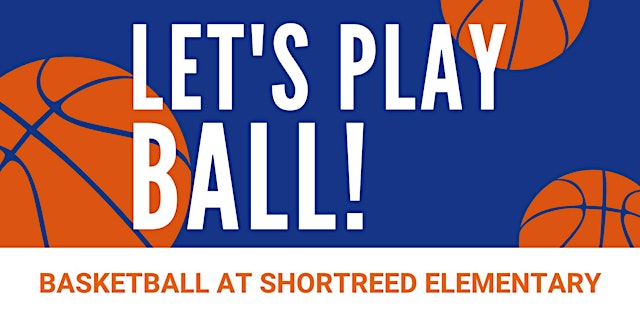 Grade 4/5 Boys Basketball primary image