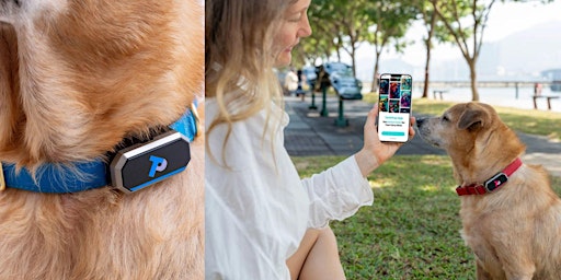 Image principale de Designing AI IoT Headwear for Pets - HK SOLIDWORKS User Group Network Meet