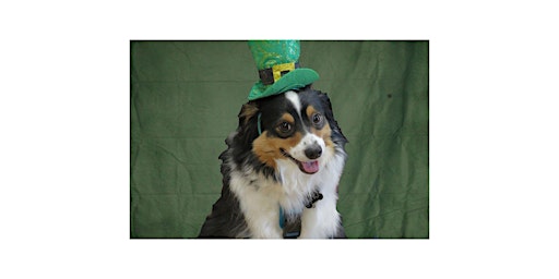 Image principale de st. patrick's pet photoshoot mississauga