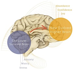 Meet with Dr Tracy: Learn how to turn on your higher brain and live your best life! primary image
