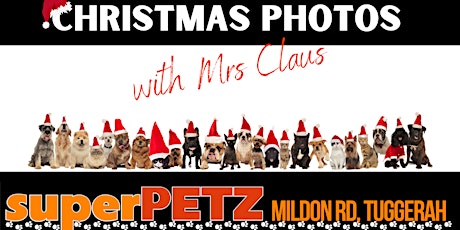 Christmas photos with Mrs Claus primary image
