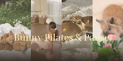 Image principale de Bunny Pilates & Pause