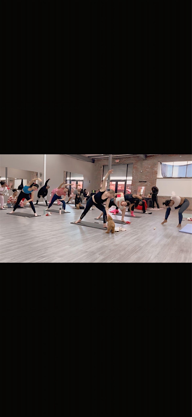 Image principale de Softpaws&yoga