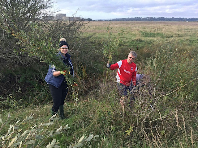 Imagem principal de Corporate Wild Work Day: Conservation Day at Rye Harbour Nature Reserve