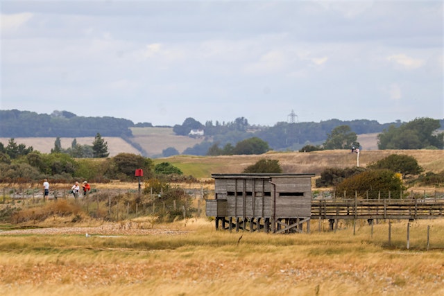 Imagem principal de Corporate Wild Work Day: Conservation Day at Rye Harbour Nature Reserve