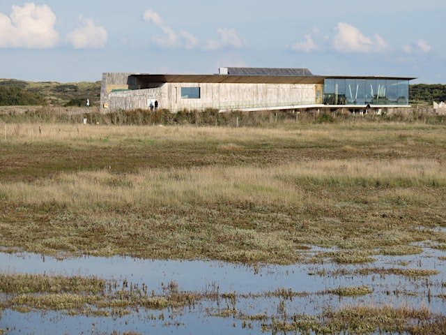 Imagem principal de Corporate Wild Work Day: Conservation Day at Rye Harbour Nature Reserve