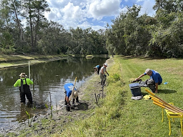 Image principale de Community Pond Restoration Event Phase 2: Stormwater Smart Solutions