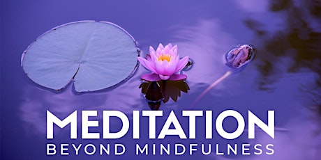 Mind & Meditation primary image