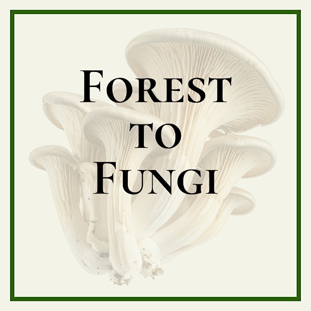Image principale de Forest to Fungi Workshop