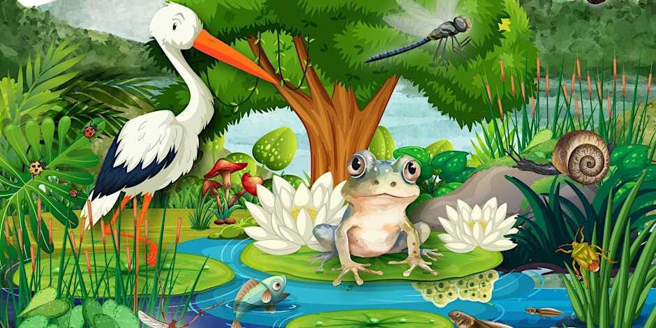 The Magical Major Oak: Down in the Pond - Mansfield Central Library
