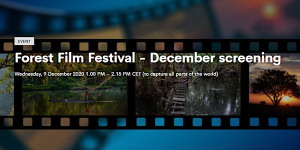 Forest Film Festival - December screening