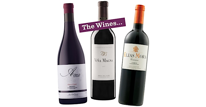 Top Red Wines from Castilla y León, Spain with Tim Atkin MW image