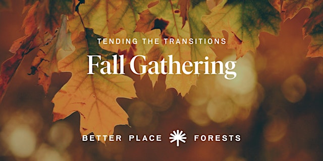Image principale de Point Arena Memorial Forest | Tending the Transitions Fall Gathering
