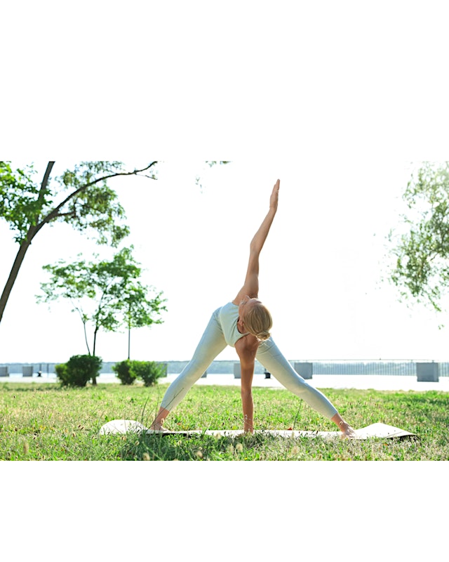 Image principale de Wellness Day in the Park: Mobility Workshop, Soundbath, Stretch & Massage