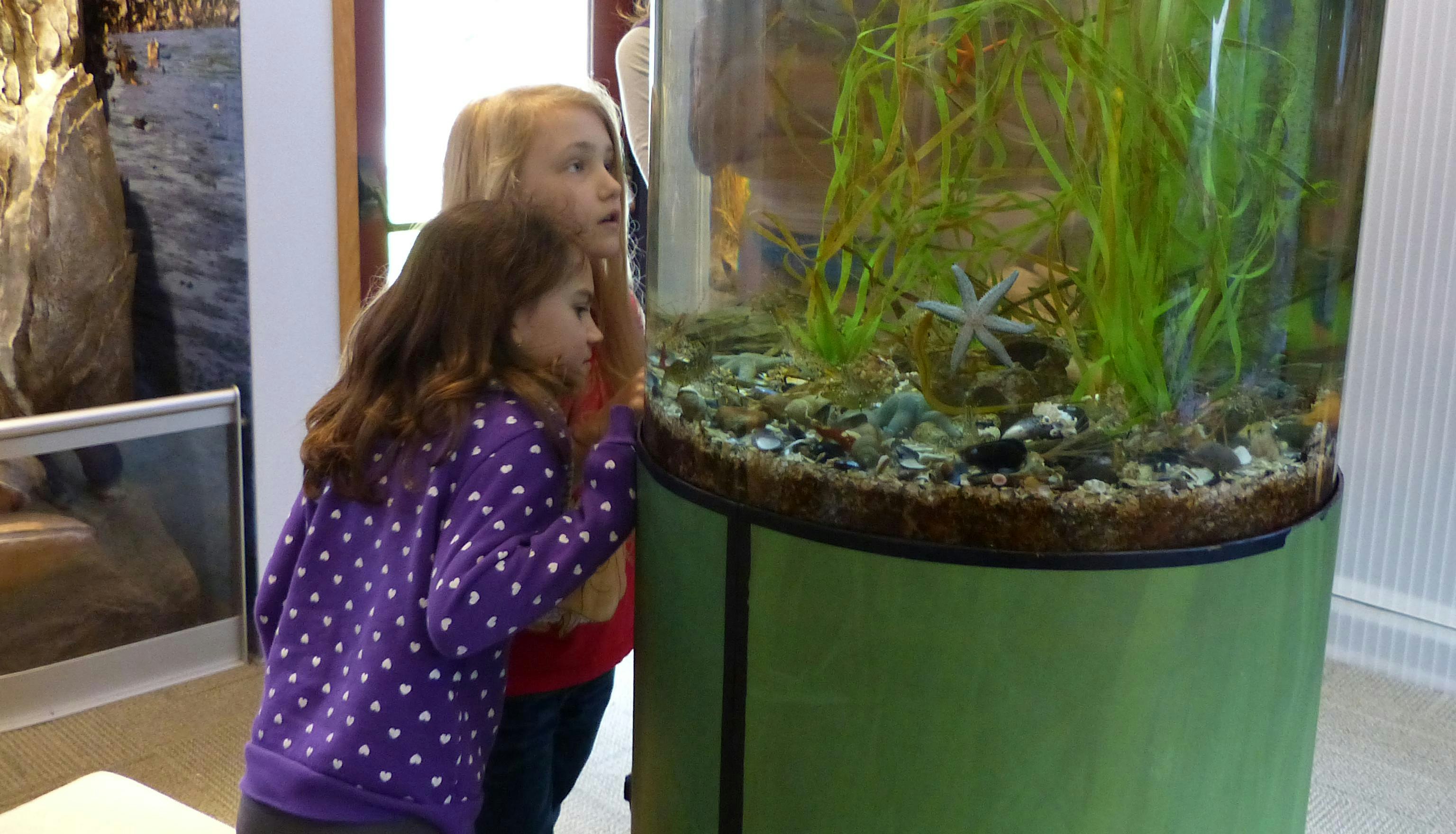 Aquarium Tour and Fish Feeding - Bay View, WA