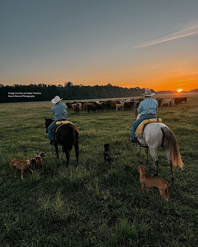 Imagen principal de Ranch Ready: Emergency Skills for When Minutes Matter