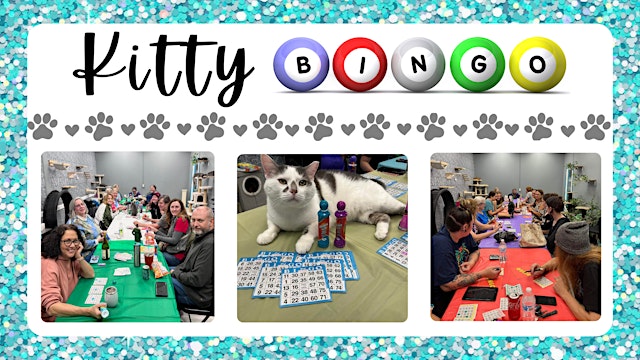 Image principale de Kitty Bingo