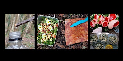 Summer Wild Foods & Practical Plants of Oldbury Court primary image