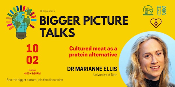 Bigger Picture Talks at CEB: Marianne Ellis
