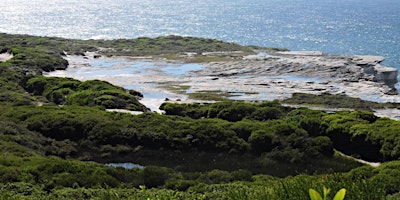 Cape Baily Coast Walk, Tuesday 23 June primary image