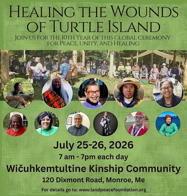 Image principale de Healing Turtle Island 2026