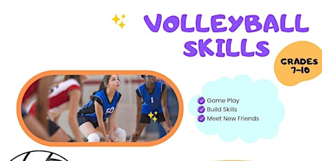 Imagen principal de Volleyball Skills