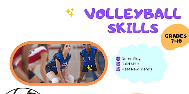 Image principale de Volleyball Skills