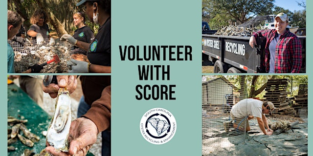 Image principale de Manufactured Wire Reef Fabrication