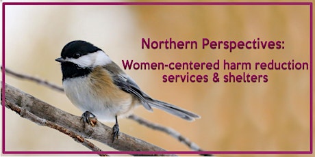 Northern Perspectives: Women-centered harm reduction services and shelters