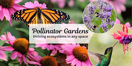 Pollinator Paradise for Any Space primary image