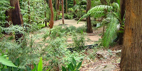 Image principale de Scamper through the Jungle, Thursday 9 July