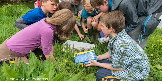 Wilder Families at Lingfield Nature Reserve primary image