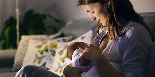 Breastfeeding Basics Prenatal IN PERSON Class