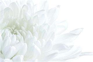 White Bath Workshop and Healing Experience IN-PERSON with Safe Black Space primary image