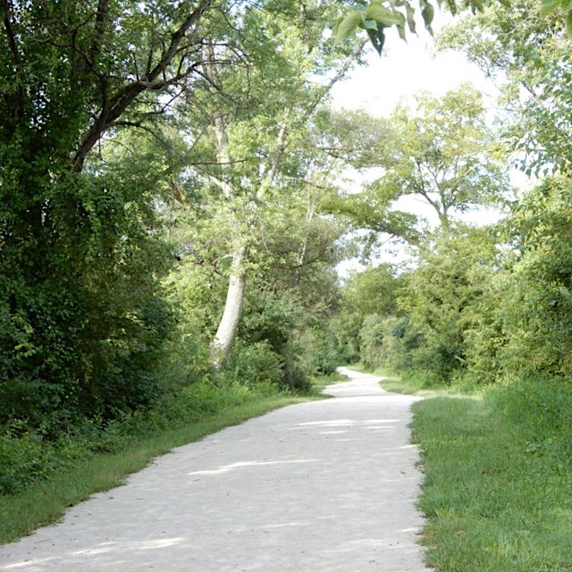 Image principale de Where Nature Meets Soul: A Writing Walk in the Woods