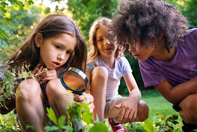 Image principale de Summer of Science- Hands-on outdoor science lab