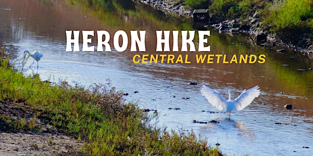 Imagen principal de Los Cerritos Wetlands Nature Walk : Heron Hike