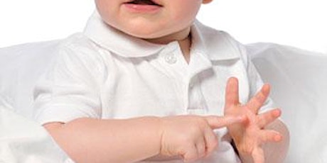 Year End Online Baby Sign Language Classes primary image