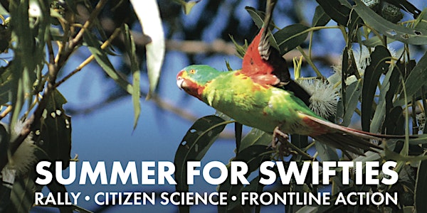 Swift Parrot Citizen Science surveys