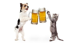 Image principale de Yappy Hour
