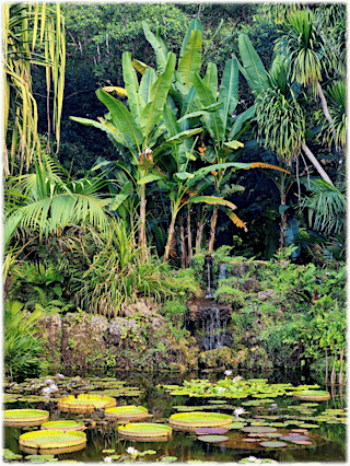 Image principale de 11th Independent Plant Breeders Conference