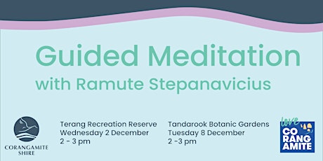 FREE Guided Meditation with Ramute Stepanavicius primary image