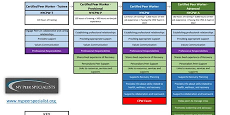 Education and Career Pathways for Peers primary image