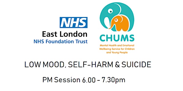Low Mood, Self-Harm & Suicide (PM session)