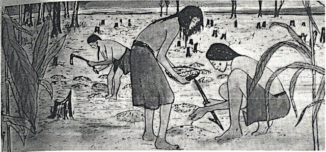 Image principale de Histories Of The Sawkill Through Human Impacts