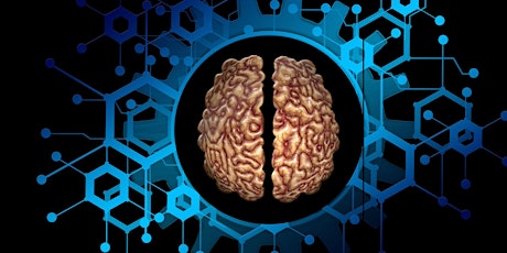 For ages 7-12: How the Brain Works primary image